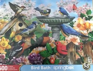 Bird Bath Puzzle