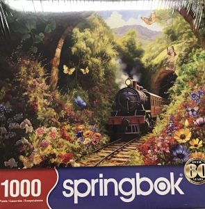 Tunnel Pass 1000 Piece Puzzle